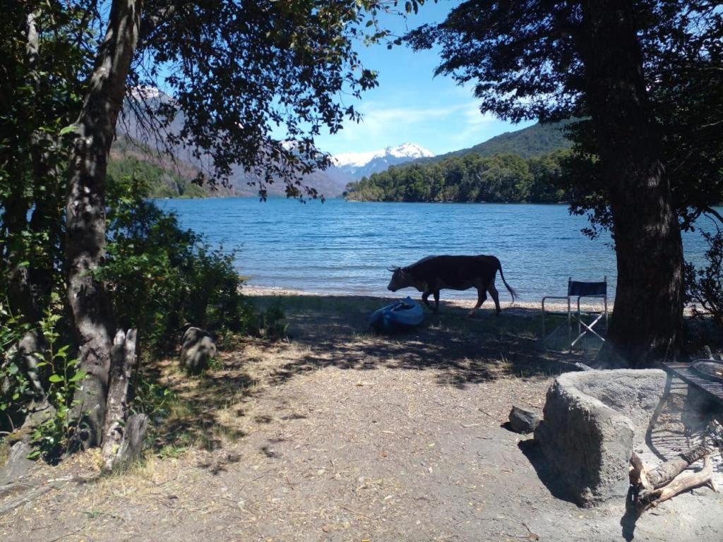 Cabanas Ojo De Cielo San Carlos de Bariloche Exterior photo